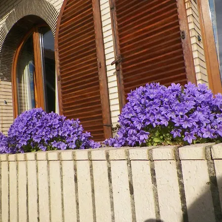 Apartment Jugu Avec Jardin