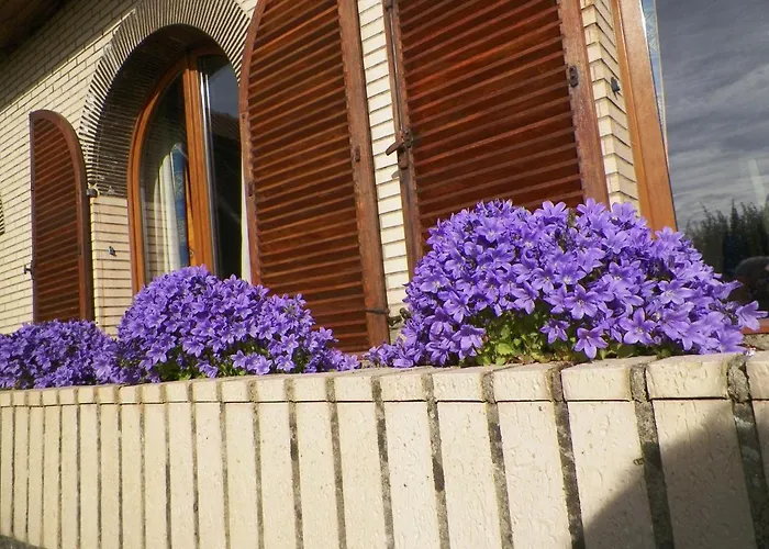 Appartement Jugu Avec Jardin